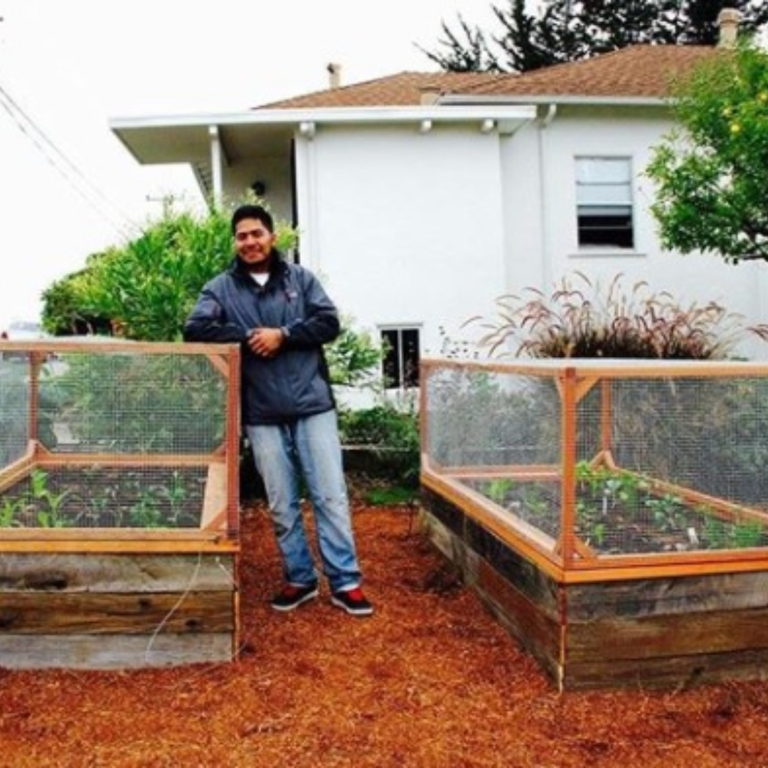 Social Enterprises With Positive Environmental Impact