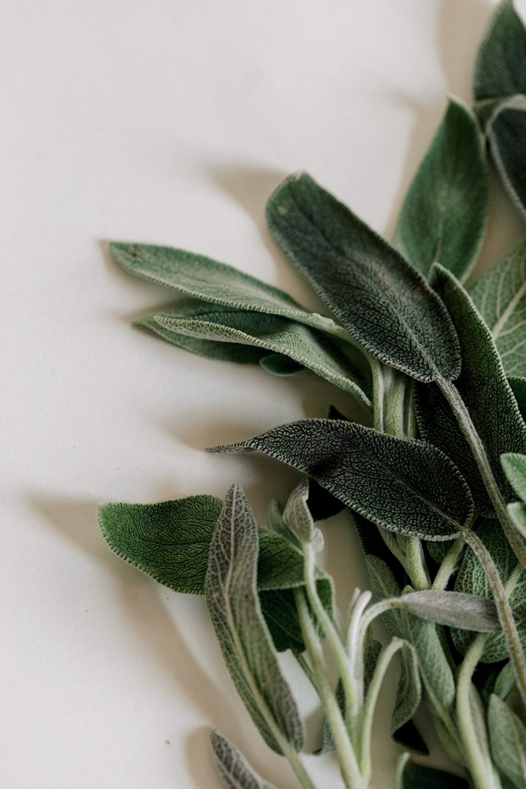 Herbal Candles